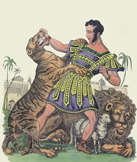 Tamer: Tiger Tamer