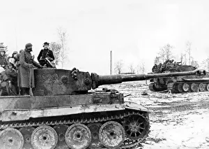 Newel: Tiger Tank at the Eastern Front