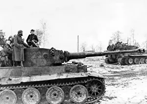 Newel: A Tiger Tank at the Eastern Front