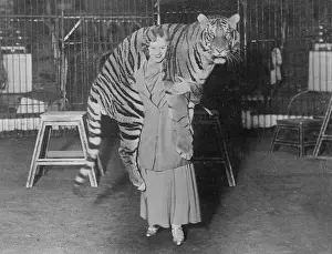 Cilly: TIGER TRAINER 1930S