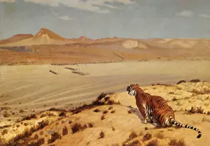 Gerome: Tiger on the Watch, by Gerome