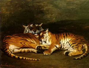 Mate: Two Tigers