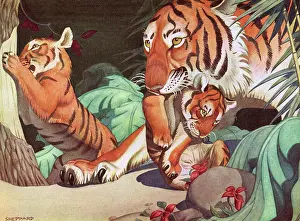 Sheppard: Tigers