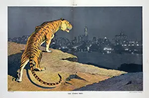 Tammany: The tiger's prey