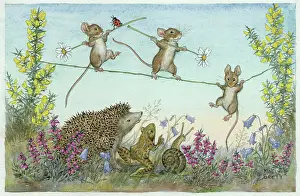 Gorse: The Tightrope - three mice on a tightrope