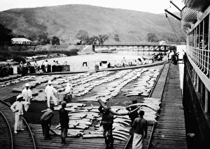 Colonies: Tiko in Cameroon, 1912