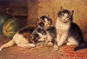 Melons: Tile Kittens