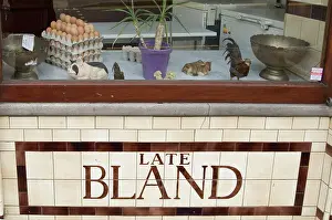 Bland: Detail of tiling beneath the window of the butcher's shop