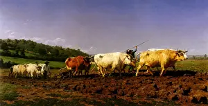 Plow: Tilling in Nivernais