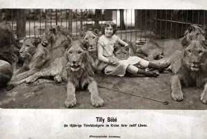 Tilly: Tilly Bebe, 1903