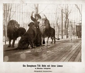 Tilly: Tilly Bebe, 1909