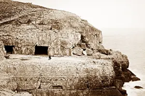 Tilly: Tilly Whim Caves, Swanage