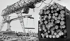 Logs: Timber mill