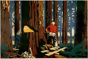 Lumberjack: Timber from Canada