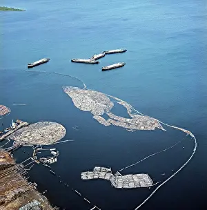Onega: Timber floating in Lake Onega, 1973