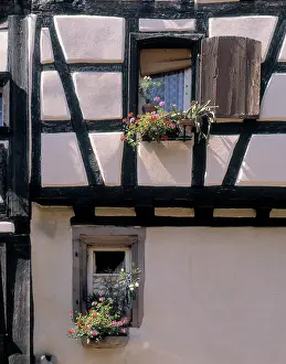 Plaster: Timber Framed House, Riquewihr