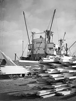 Planks: TIMBER AT HULL DOCKS
