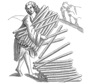 Proverb: Timber industry
