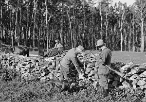 Warthegau: Timber industry in occupied Poland, 1941