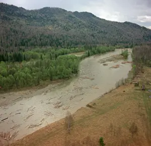 Sadchikov: Timber rafting on Baigol River, 1990