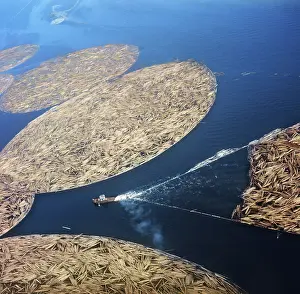 Rafting: Timber rafting in Karelia, 1973