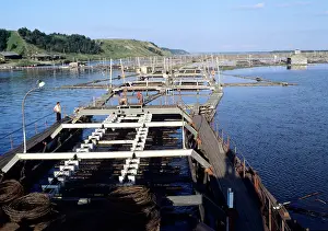 Karelian: Timber rafting in Karelia, 1981
