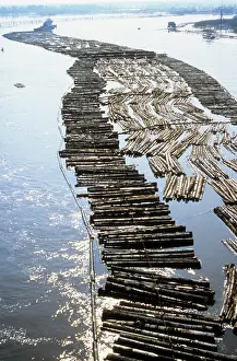Gubsky: Timber rafting in Komi ASSR, 1982