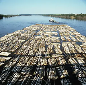 Rafts: Timber rafting in Komi ASSR, 1983