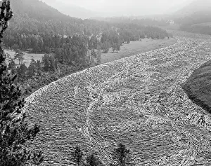 Transported: Timber rafting on Mana River, 1959
