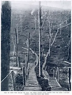 Scarred: Timber roads on the battlefields near Verdun
