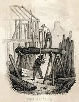 Sawyer: Timber Sawing 1835