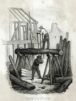 Sawing: Timber Sawing 1835