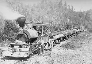 Transports: Timber transport by railway in the U.S