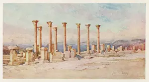 Timgad: TIMGAD RUINS - FORUM