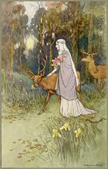 Timid: TIMID DUN DEER & WOMAN