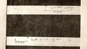 Timing: Timing Strips for Flying Start by D Resta in Sunbeam - Brook