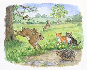 Playmate: Timothy Finds a Playmate