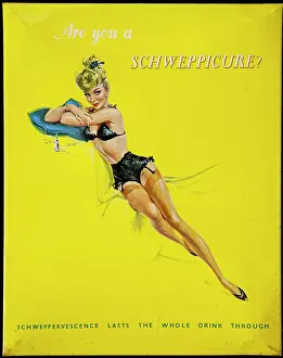 Suggestive: Tin Advertising board for Schweppes