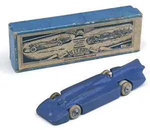 Bonneville: TIN MODEL OF A BLUEBIRD