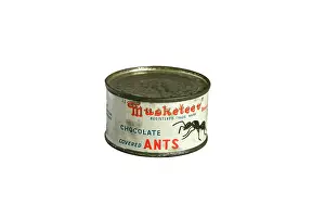Musketeers: Tin of Musketeer's chocolate ants