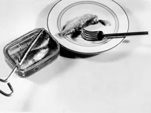Sardine: TIN OF SARDINES