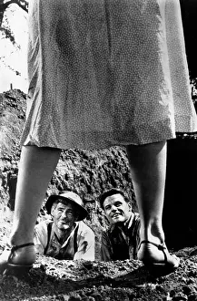 Tina: Tina Louise - Robert Ryan - Jack Lord