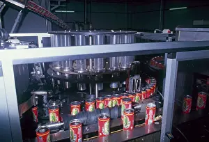 Besley: Tinned drink being produced in a factory