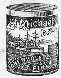 Pineapple: Tinned Pineapple