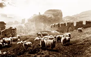 Tintagel: Tintagel Castle