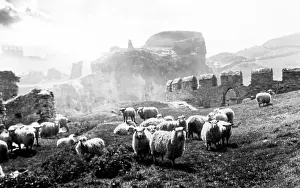 Tintagel: Tintagel Castle, early 1900s