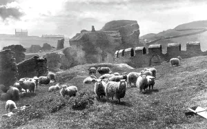 Tintagel: Tintagel, King Arthur's Castle 1894