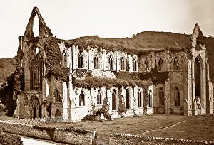 Tintern: Tintern Abbey