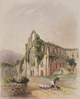 Tintern: Tintern Abbey