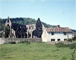 Tintern: TINTERN ABBEY